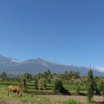 Der Rinjani Vulkan aus Entfernung